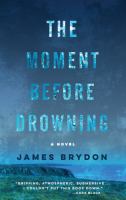 The moment before drowning : a novel