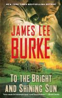 To the bright and shining sun : a novel