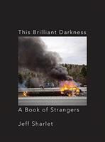 This brilliant darkness : a book of strangers