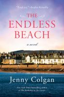 The endless beach : a novel