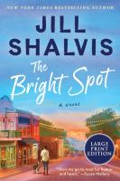 The bright spot : a novel