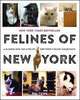 Felines of New York : a glimpse into the lives of New York's feline inhabitants