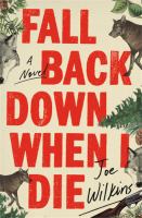 Fall back down when I die : a novel