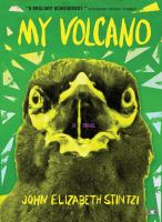 My volcano : a novel
