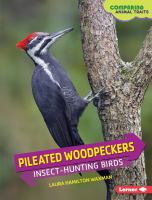 Pileated woodpeckers : insect-hunting birds
