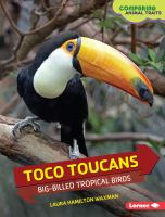Toco toucans : big-billed tropical birds
