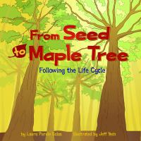 From seed to maple tree : following the life cycle