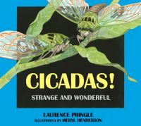 Cicadas! : strange and wonderful