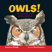 Owls! : strange and wonderful