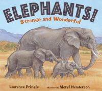 Elephants! : strange and wonderful