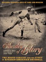 Shades of glory : the negro leagues and the story of African-American baseball