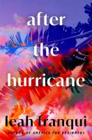 After the hurricane : a novel