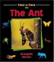 Face-to-face with the ant : energetic worker