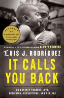 It calls you back : an odyssey through love, addiction, revolutions, and healing