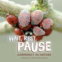 Wait, rest, pause : dormancy in nature
