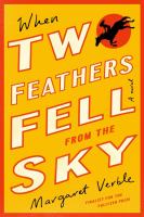When Two Feathers fell from the sky : a novel