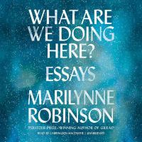 What are we doing here? : essays