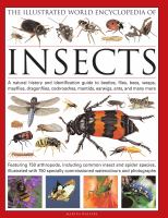 The illustrated world encyclopedia of insects : a natural history and identification guide to beetles, flies, bees, wasps, mayflies, dragonflies, cockroaches, mantids, earwigs, ants and many more; featuring 650 arthropods, including common insect and spider species, illustrated with 750 specially commissioned illustrations and photographs