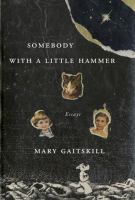 Somebody with a little hammer : essays