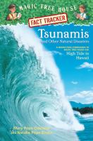 Tsunamis and other natural disasters
