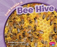 Look inside a bee hive