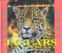 Jaguars and leopards