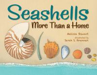 Seashells : more than a home