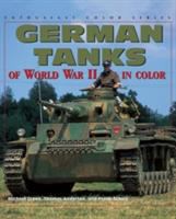 German tanks of World War II in color