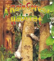 A rainforest habitat