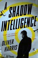 A shadow intelligence