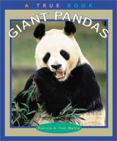 Giant pandas