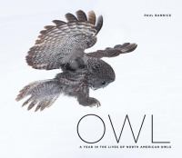 Owl : a year in the lives of North American owls