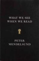 What we see when we read : a phenomenology ; with illustrations