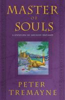 Master of souls : a mystery of Ancient Ireland