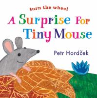 A surprise for Tiny Mouse