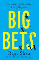 Big bets : how large-scale change really happens