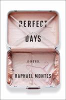 Perfect days : a novel