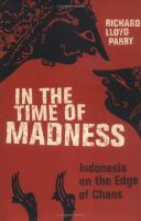 In the time of madness : Indonesia on the edge of chaos