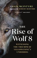 Rise of wolf 8 : witnessing the triumph of Yellowstone's underdog