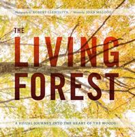 The living forest : a visual journey into the heart of the woods