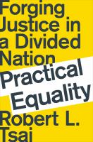 Practical equality : forging justice in a divided nation