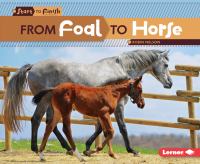 From foal to horse