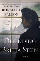 Defending Britta Stein : a novel
