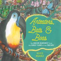 Anteaters, bats, and boas : the Amazon rainforest from the forest floor to the treetops