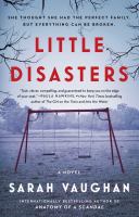 Little disasters : a novel