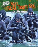 Navy SEAL Team Six in action