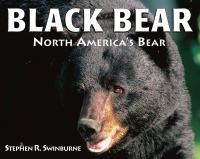 Black bear : North America's bear