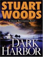 Dark harbor : [a novel]