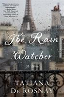 The rain watcher : a novel