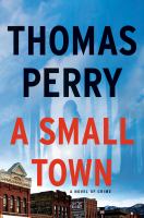 A small town : a novel